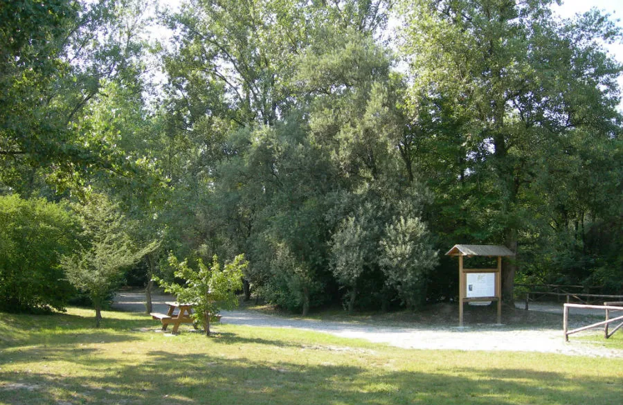 Oasi delle Grave di Negrisia
