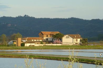 Old-Mill-and-Rice-Farm-San-Giovanni