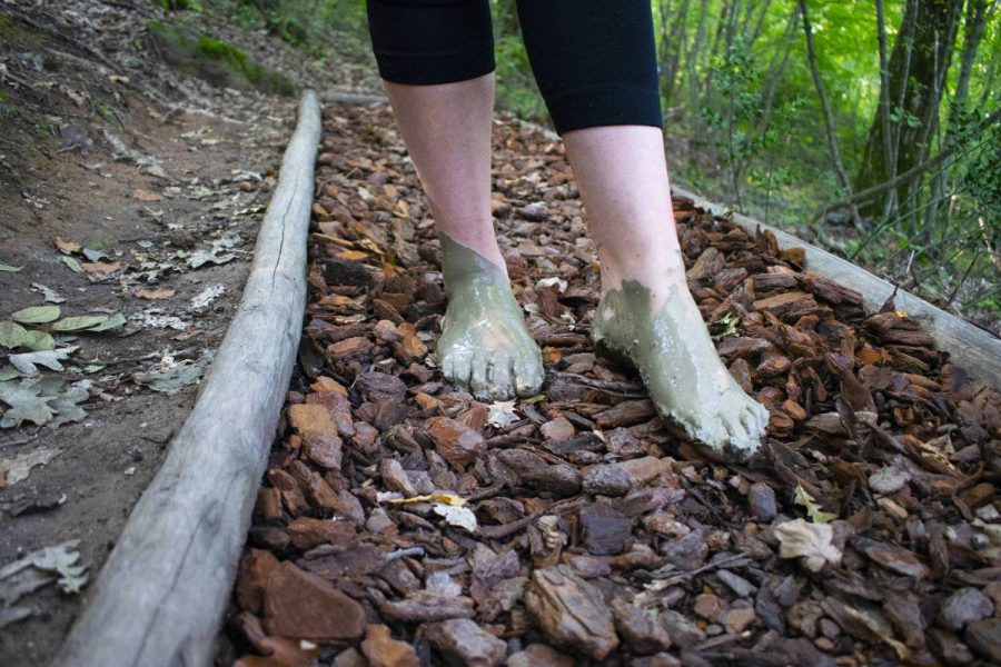 Five Senses Barefoot Park: A Dive into Nature