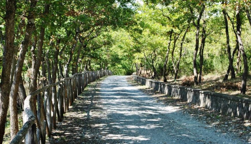 Parco Comunale del Farneto 'G. De Rosa'