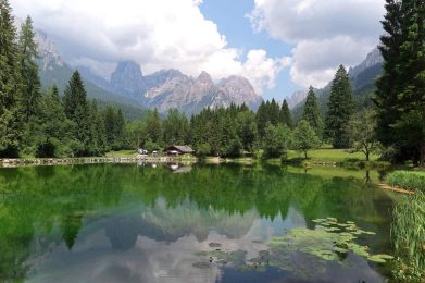 Parco-Naturale-Paneveggio-Pale-di-San-Martino