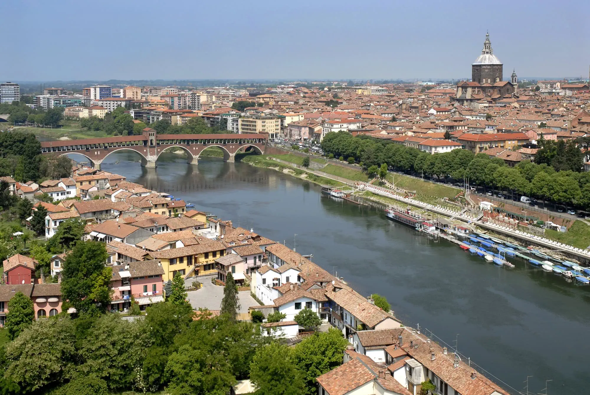 Pavia