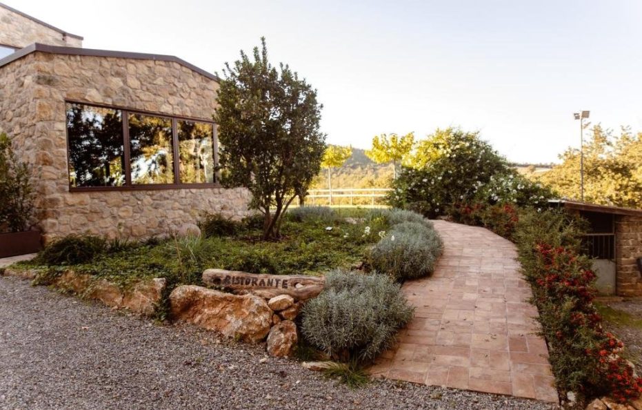 Il Poggio di Teo