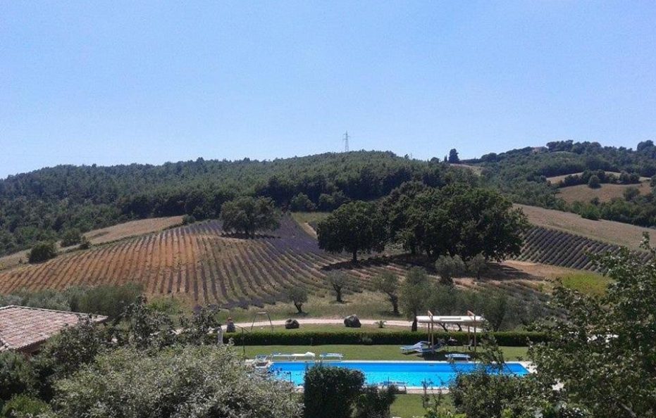 Il Poggio di Teo