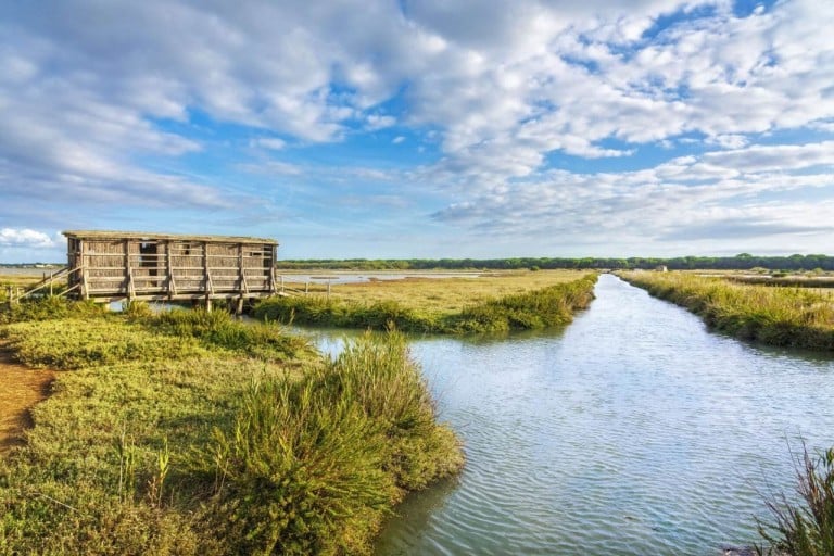 Diaccia Botrona Nature Reserve