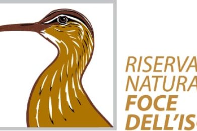 Riserva-Naturale-della-Foce-dellIsonzo