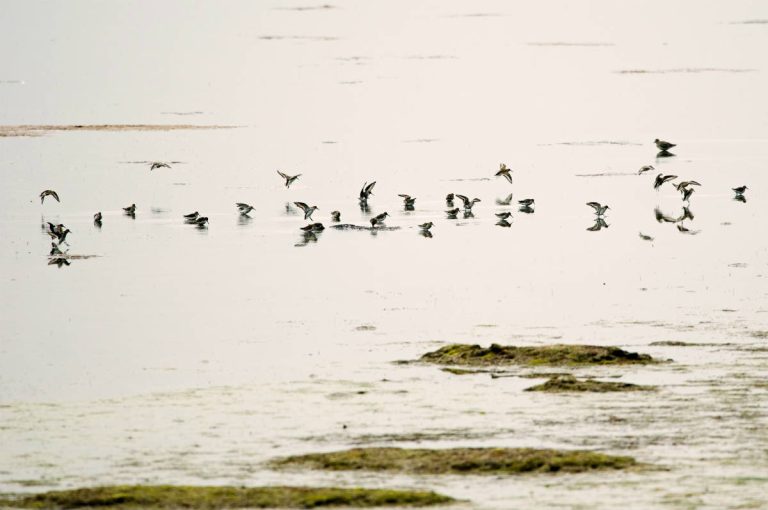 Riserva Naturale della Valle Cavanata