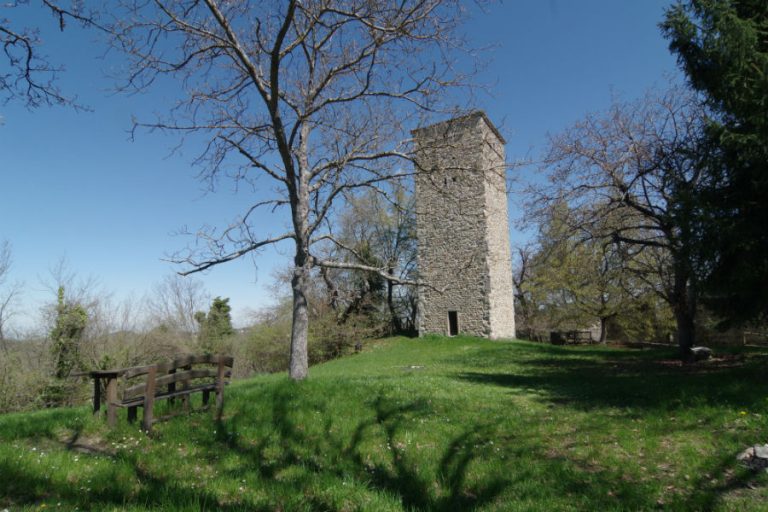 Rosola