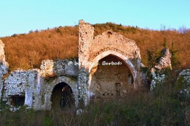 Rudere Santa Maria della Ferraria - Fiore s. Barbato
