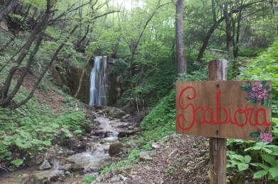 Sentiero delle cascate del Rivarolo