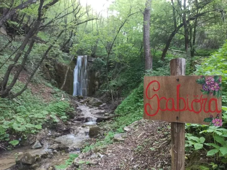 Sentiero delle cascate del Rivarolo