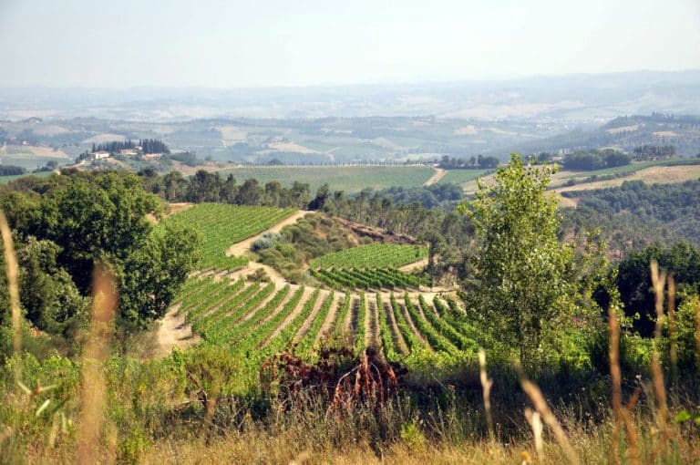 Panizzi Winery