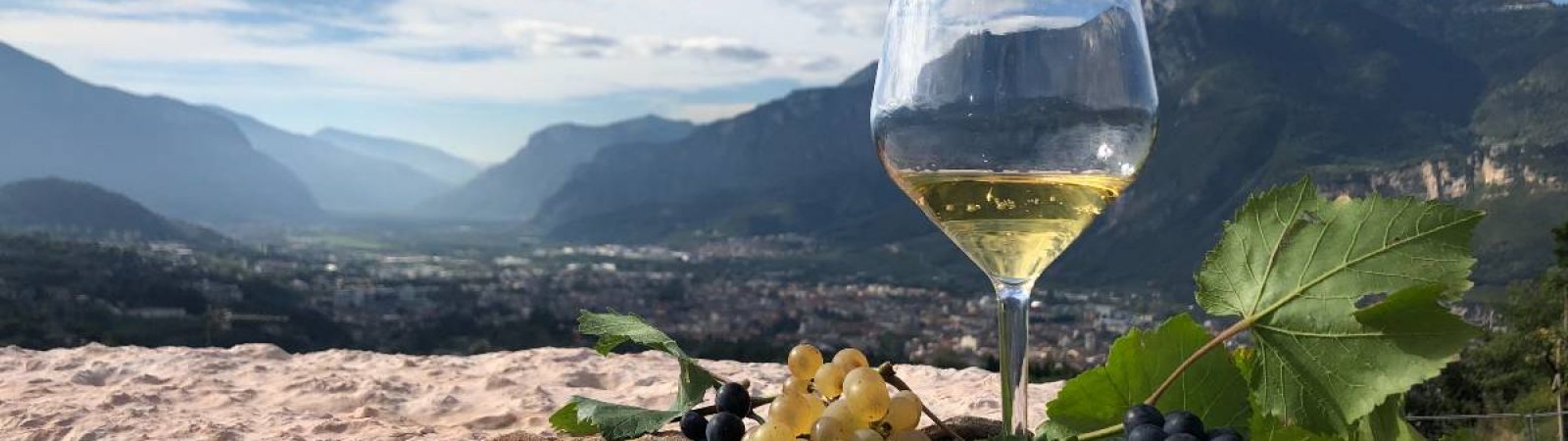 Strada del Vino Trentino Cover località