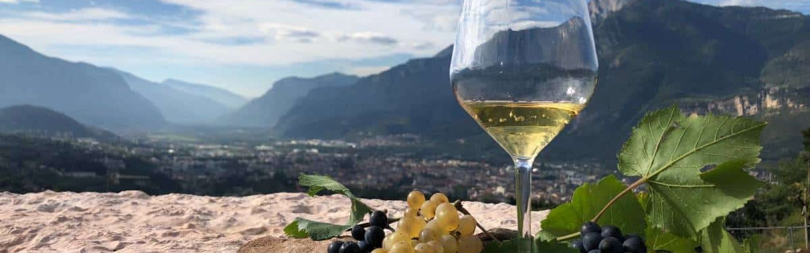 Strada del Vino Trentino Cover località