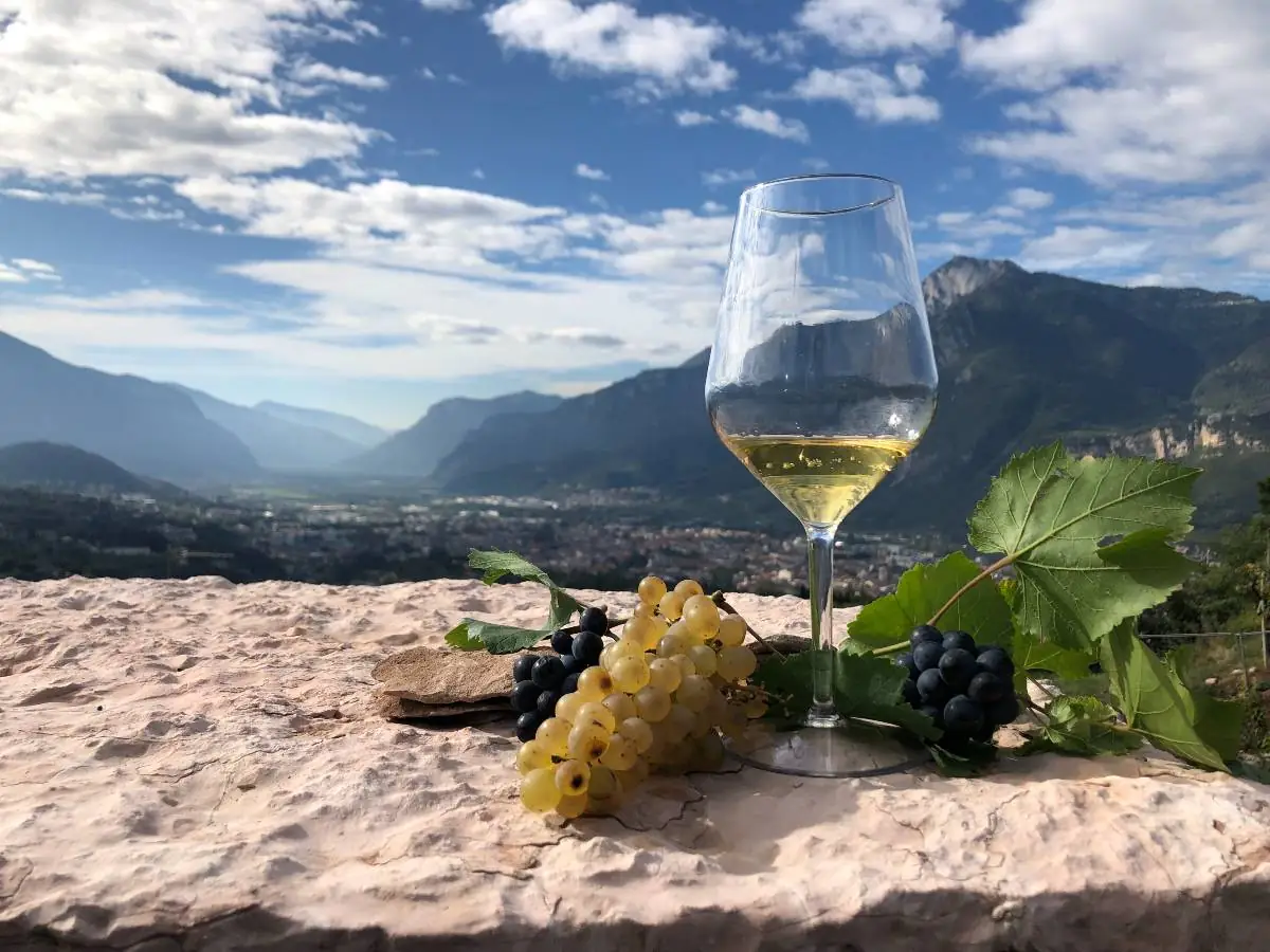 Strada del Vino e dei Sapori del Trentino