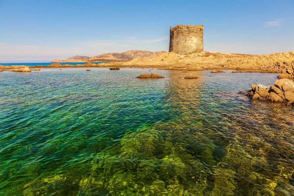 Torre della Pelosa
