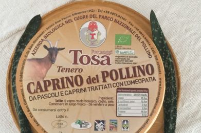 Azienda Zootecnica Tosa