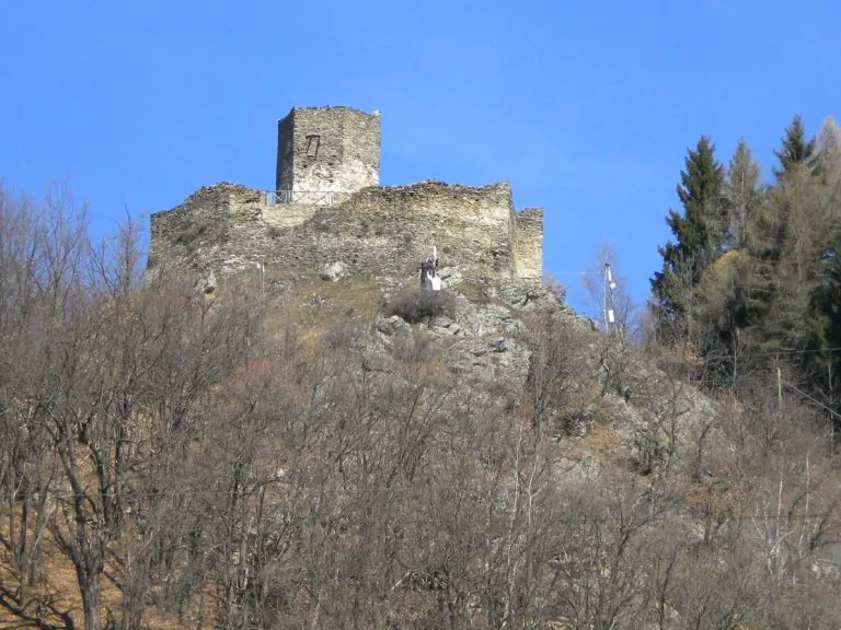 Tourusela
