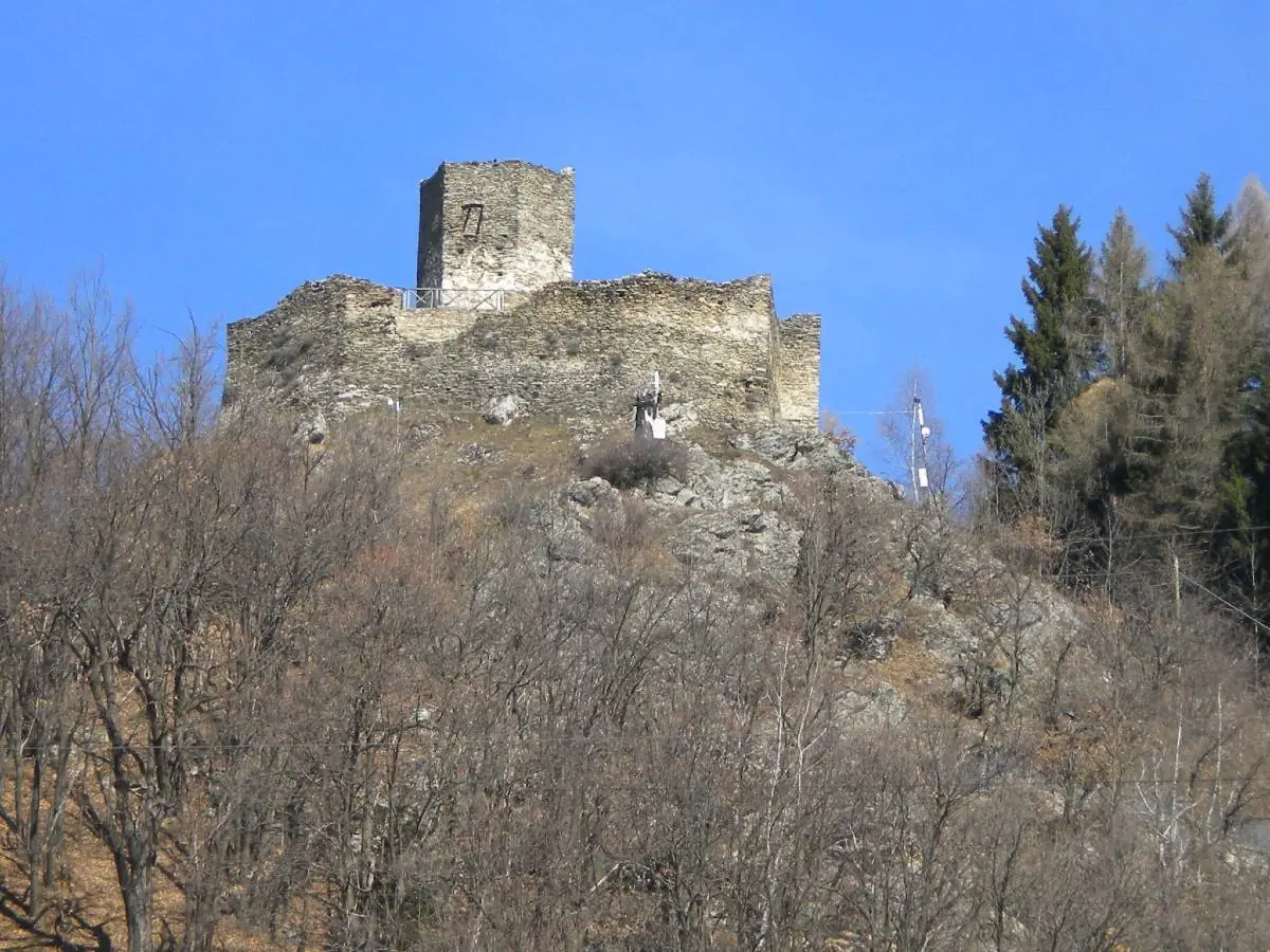 Tourusela