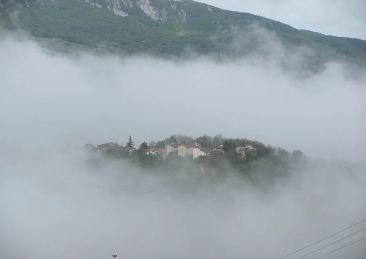 Tubione