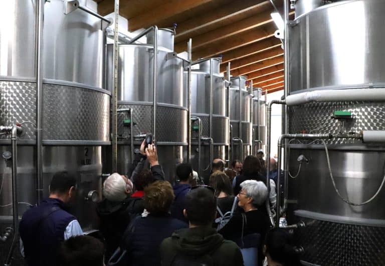 Visita alla cantina Bel Sit