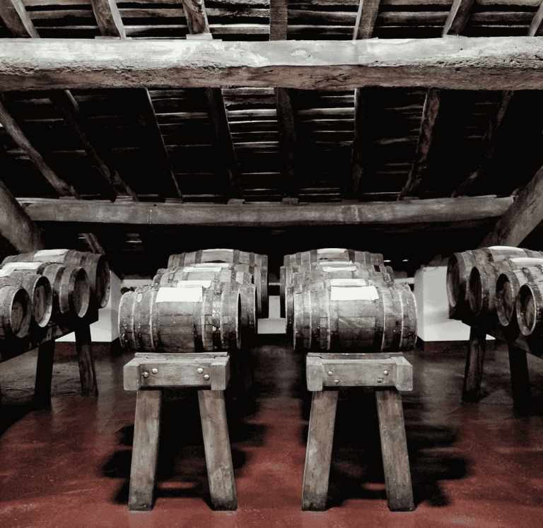 Farm Podere Francesco