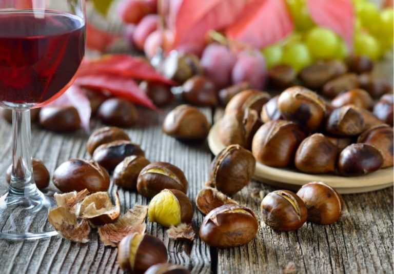 Municipal Winehouse of Castell’Arquato
