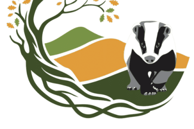 logo-animanatura