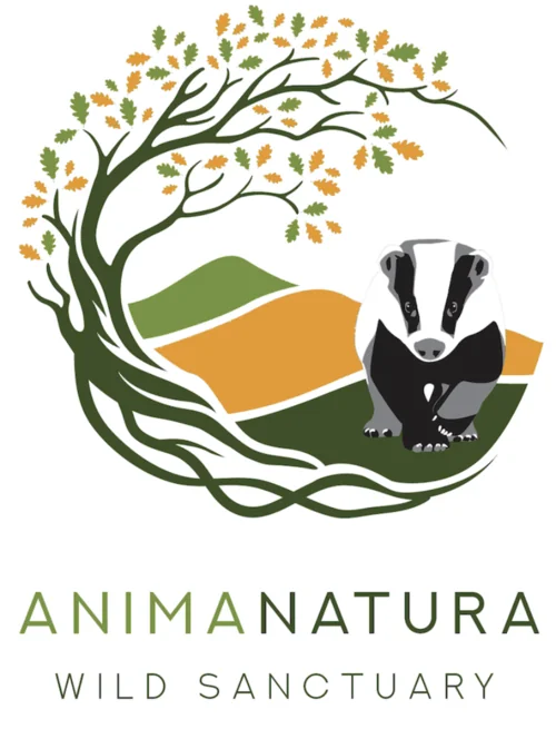 logo-animanatura