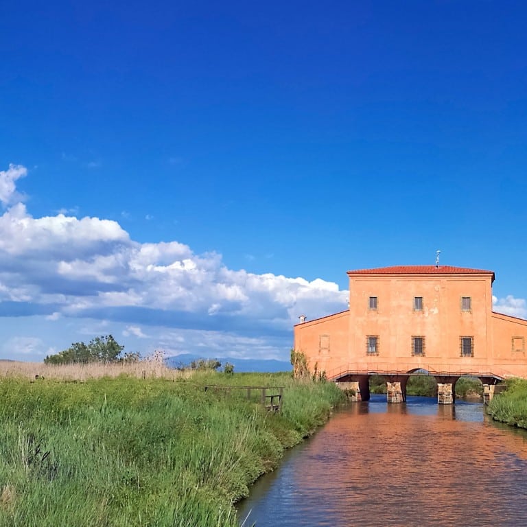 Diaccia Botrona Nature Reserve