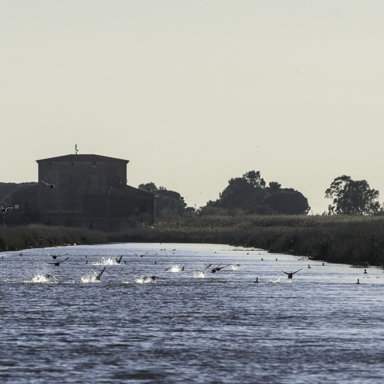 Diaccia Botrona Nature Reserve