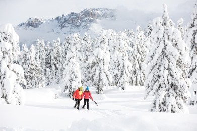 Fiemme Cembra Guest Card: Le tue esperienze di 'NEVESSERE'