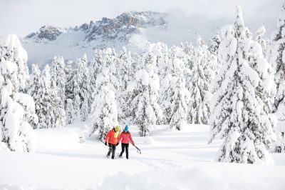 Fiemme Cembra Guest Card: Le tue esperienze di ‘NEVESSERE’