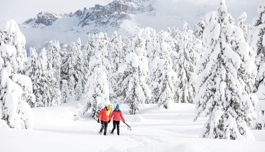 Fiemme Cembra Guest Card: Your ‘NEVESSERE’ experiences