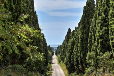 Bolgheri, a small treasure trove of treasures and history