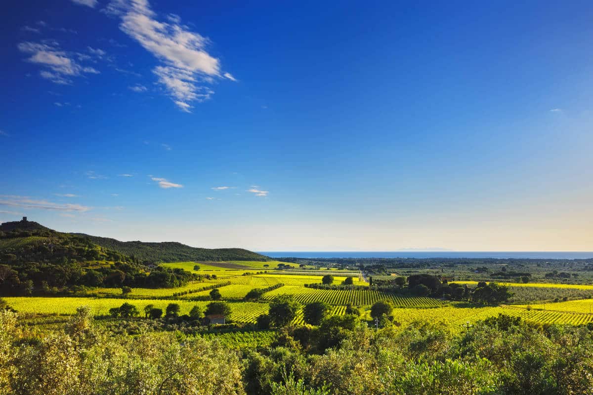 Toscana