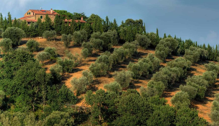 Montebelli Agriturismo: Your retreat in the heart of Tuscany
