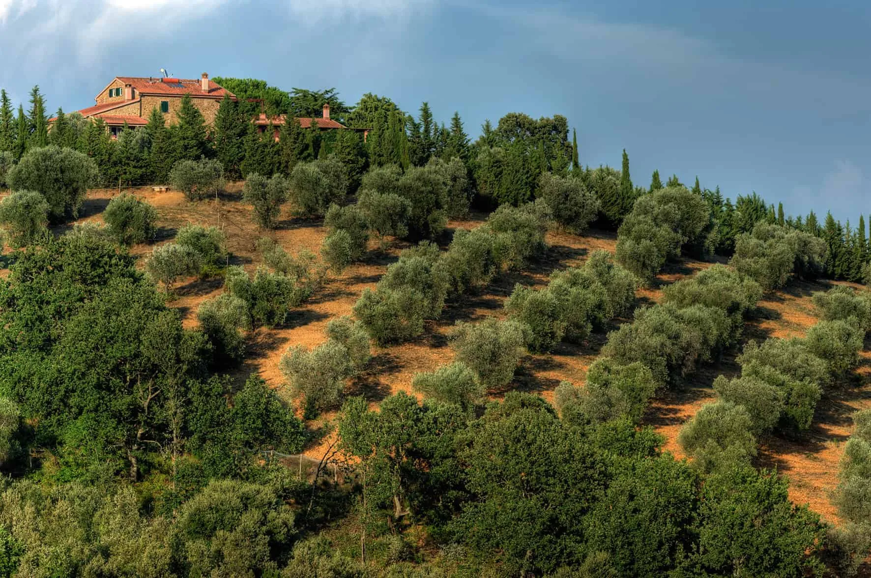 Montebelli Agriturismo e Country Hotel di Caldana