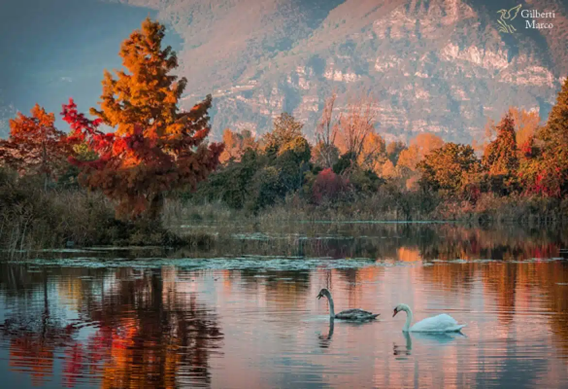 Fughe romantiche di un fine settimana: Lovere e il lago d'Iseo