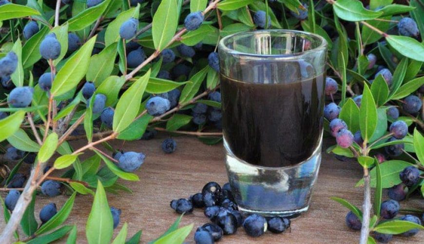 Recipe: Mirto, sips of well-being from the villages of Sardinia