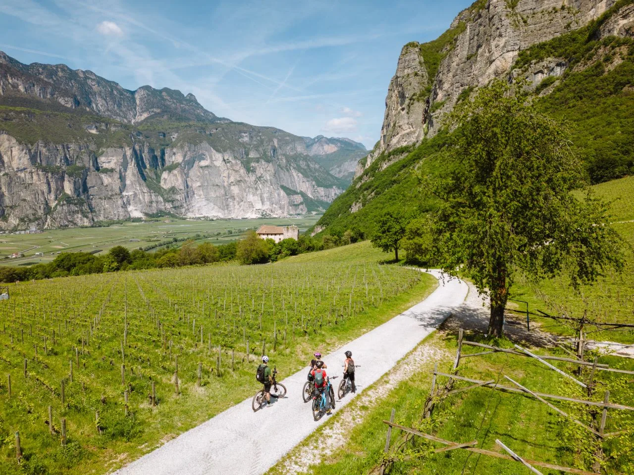 Giro del Vino 50