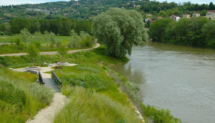 Discovering the Piedmont Po Nature Park: An ecological corridor of biodiversity