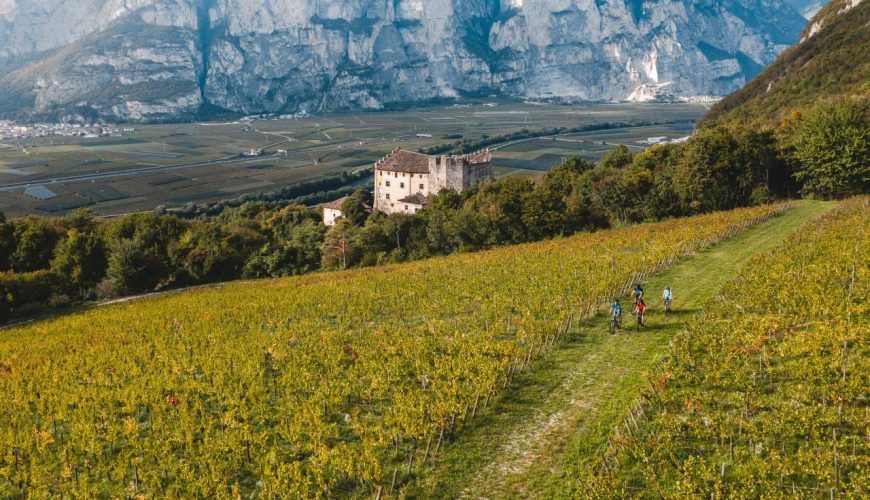 Attività Outdoor da praticare in Piana Rotaliana Konigsberg, il cuore vitato del Trentino