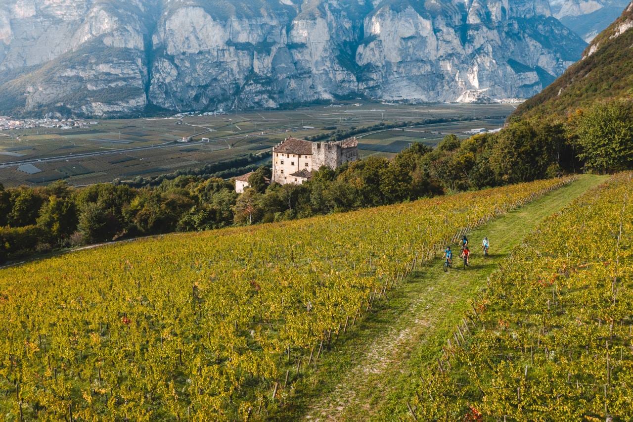 Attività Outdoor da praticare in Piana Rotaliana Konigsberg, il cuore vitato del Trentino