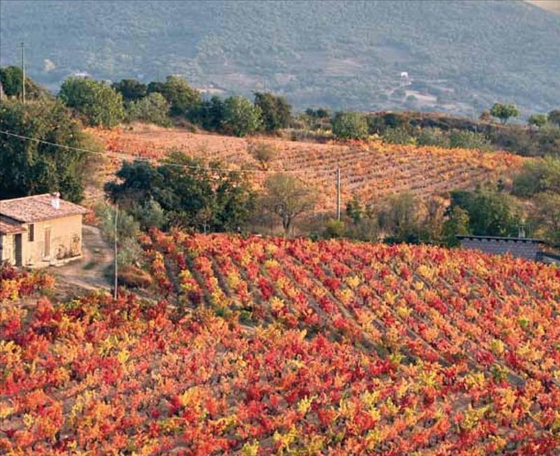 Viaggio nella Sardegna più aspra e selvaggia: la Barbagia