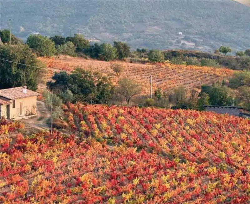 Viaggio nella Sardegna più aspra e selvaggia: la Barbagia
