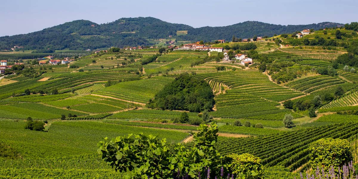 Friuli