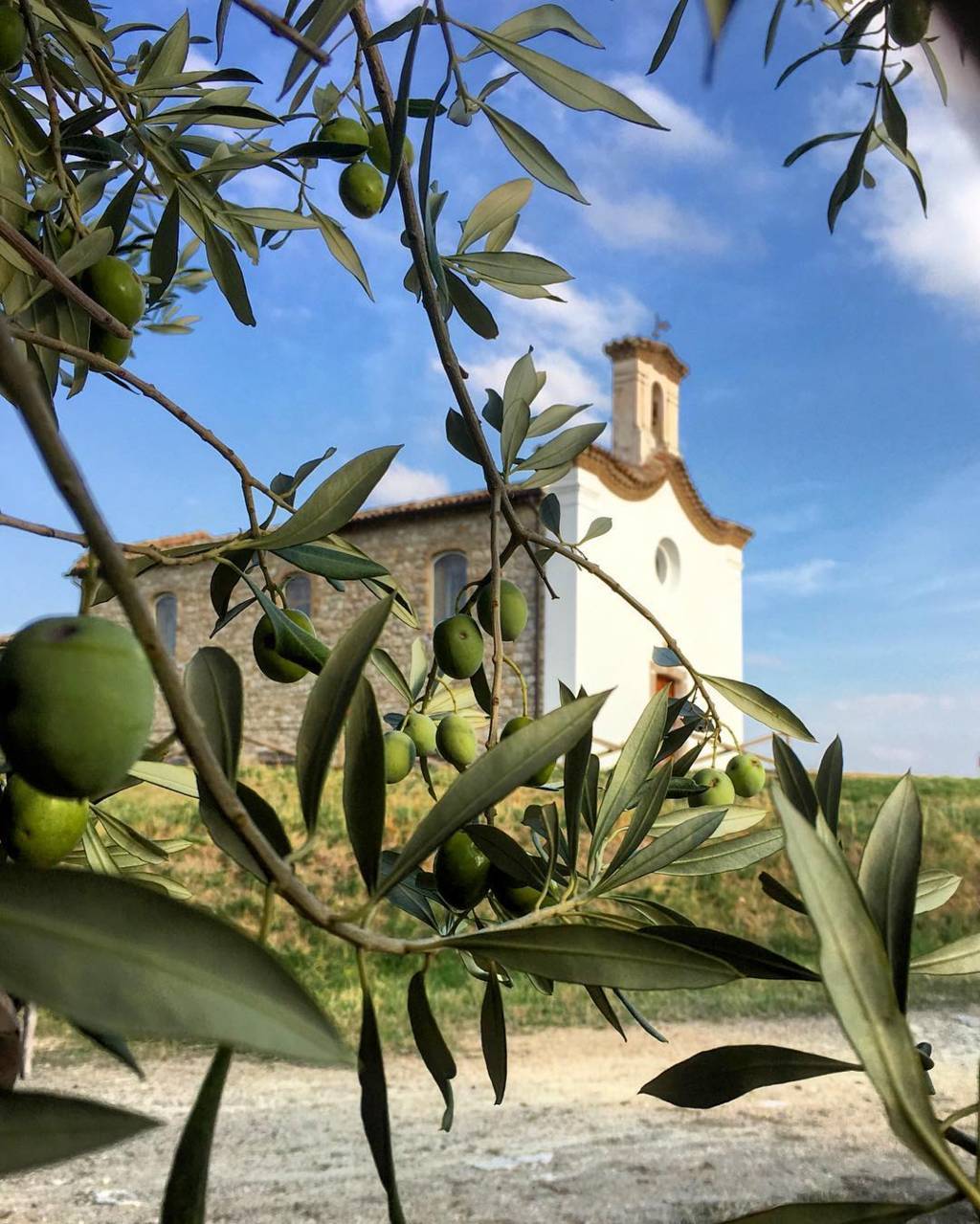 @salvatore_nasillo-Colletorto