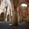 Abbey of San Galgano 1 1