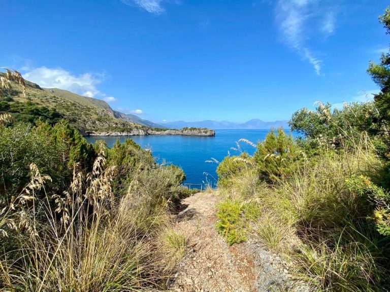 Baia degli Infreschi in Marina di Camerota, boat excursion